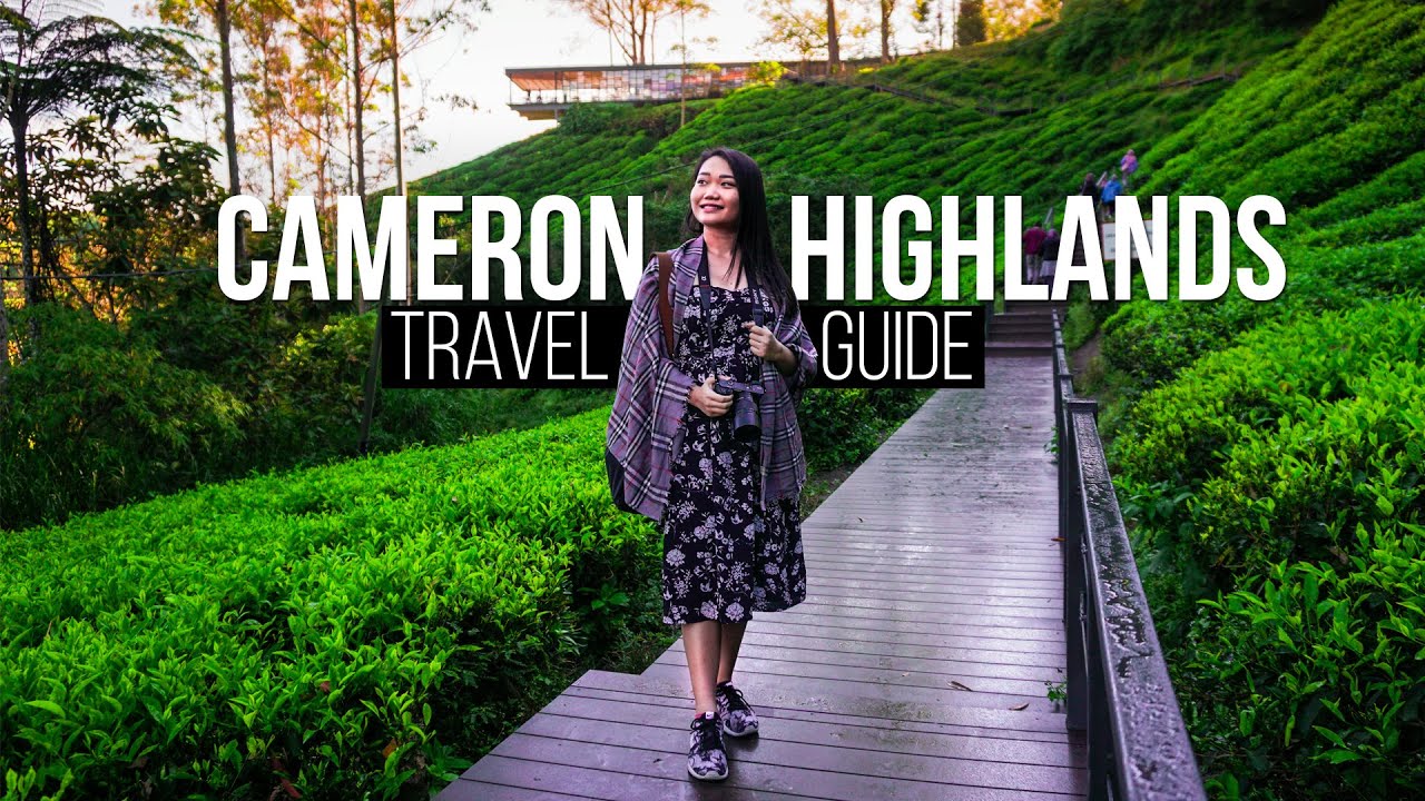 Your ultimate guide to visiting Cameron Highlands.