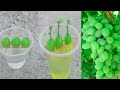 Simple method propagate grape tree with-water growing grape tree at home