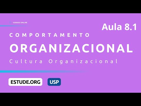 Comportamento Organizacional Aula 1 O que é comportamento organizacional