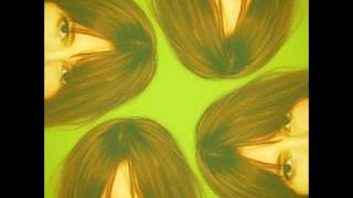 OLIVIA BROADFIELD Don&#39;t Let Go