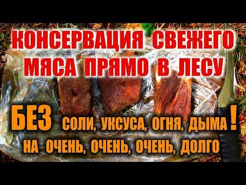 КАК СОХРАНИТЬ МЯСО. КОНСЕРВАЦИЯ МЯСА, ВЯЛЕНОЕ МЯСО  в лесу без соли, дыма, огня и уксуса.
