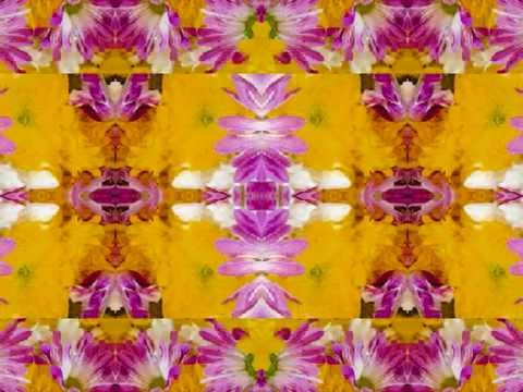 Under my wing (by the Bap Kennedy Trio live in Italy 2015)