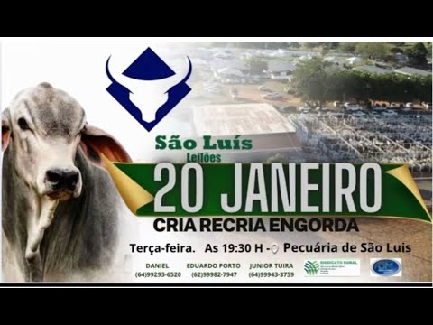 São Luis de Montes Belos - GO   20/01/2026