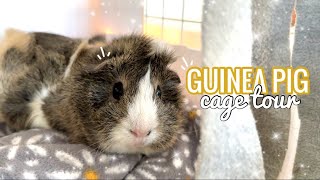 GUINEA PIG CAGE TOUR 2024