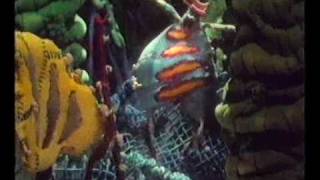 Strangers In Paradise