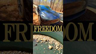 Living in my Tesla - A Gold Opportunity