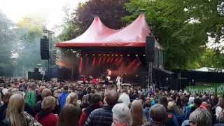 L.I.G.A. - Skylder dig ikke noget