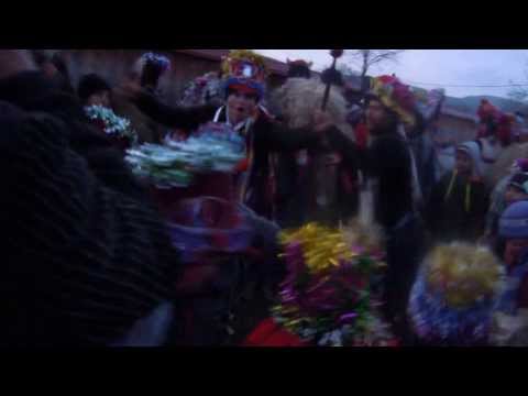 capra lingurari 2013 2014