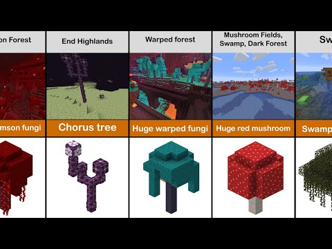 Minecraft all Trees and Their Spawn Biomes