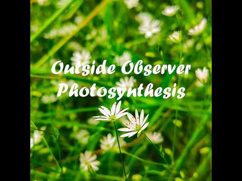 EarthMen - Jimmy Small