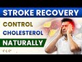 Natural CHOLESTEROL Control For Stroke Survivors Prevent Stroke Naturally Stroke Recovery Guide
