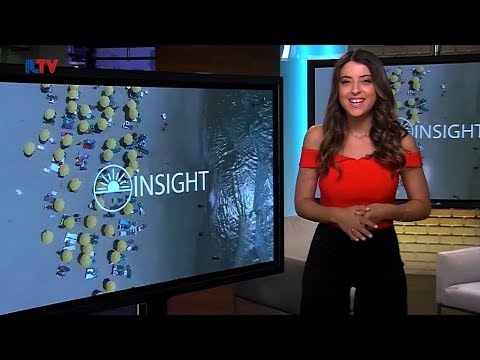 Insight to Israel - Jan. 20, 2019