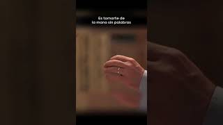 estar contigo..
