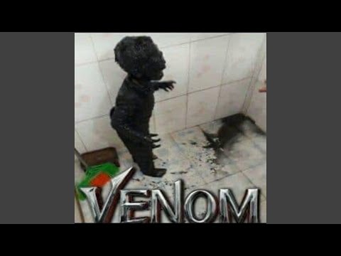 Digit 2021 (feat. YUNGTARR & SHOGUN®)