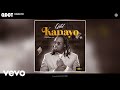 Qdot - Kanayo (Official Audio)