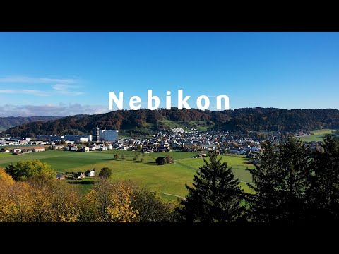 Ein Blick auf... Nebikon
