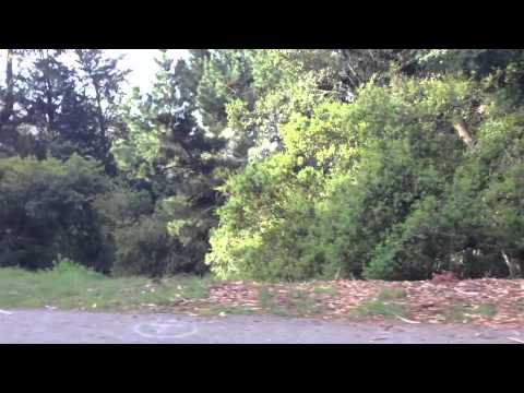 download lagu mp3 mp4 Strut Oakland, download lagu Strut Oakland gratis, unduh video klip Strut Oakland