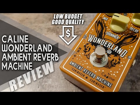 Caline CP-508 "Wonderland" Ambient Reverb Guitar Effect Pedal image 7