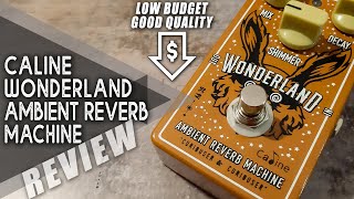 Video thumbnail for AWESOME Budget PEDAL | Caline CP-508 WONDERLAND Ambient Reverb | VIDEO REVIEW [NO TALK] by Perry Frank