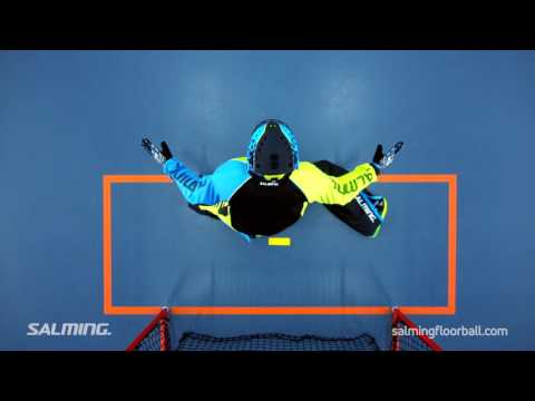 Goalkeeper Basic Position