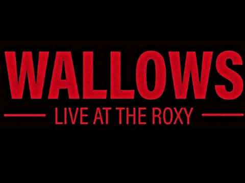 Wallows Live Album (From The Live at the Roxy Performances)