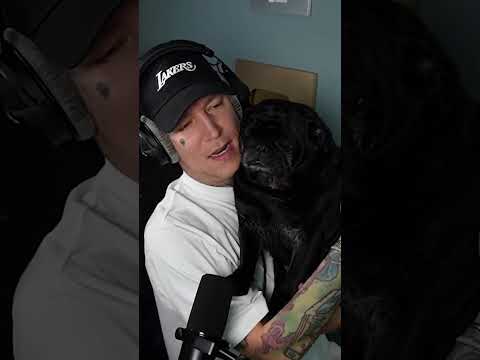 Kylo ist alt geworden😅 #montanablack #shorts