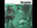 Tarwater - Dauphin sun