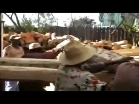 Arotsay dieny izao_Album Ramano_ Feo gasy 2000