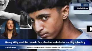 Harvey Willgoose killer named - face of evil unmasked after stabbing schoolboy