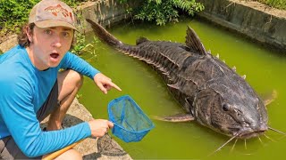 I Found The SWAMP MONSTER Living in ABANDONED POND!