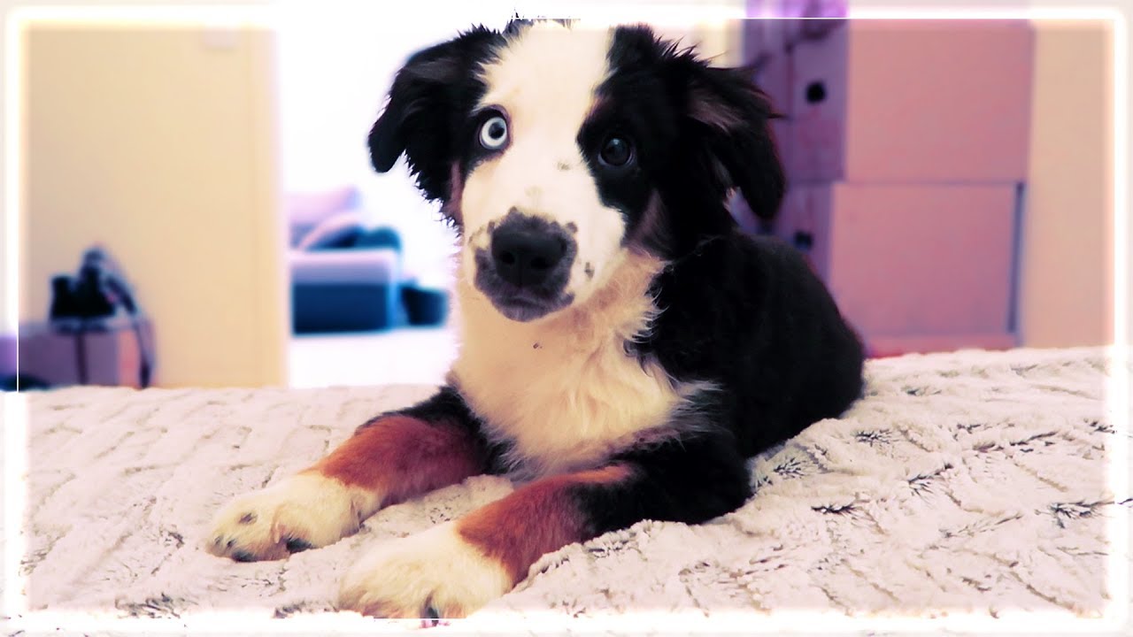 ELLE GRANDIT TROP VITE .. - NEMARDI #07