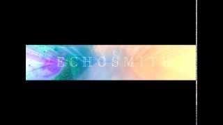 Tell Her You Love Her - Echosmith (Lyric Video)
