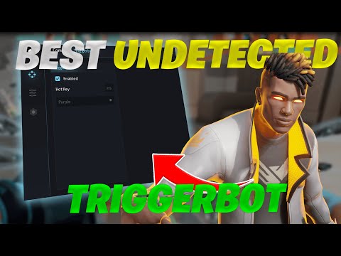 BEST VALORANT TRIGGERBOT 2026 | Undetected External Triggerbot Ft. Slyzz
