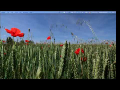 20160927 1100 C++ template metaprogramming Bianco