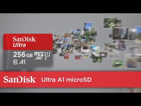 Sandisk sd16gb ultra sdhc memory card