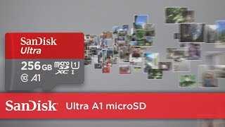 SanDisk Ultra microSDXC 200GB Kit, 100MB/s, UHS-I A1/Class 10 video 1