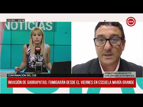 Invasión de garrapatas: fumigarán desde el viernes en escuela de María Grande