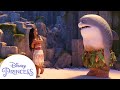 Moana Maui Silly Moments Disney Princess