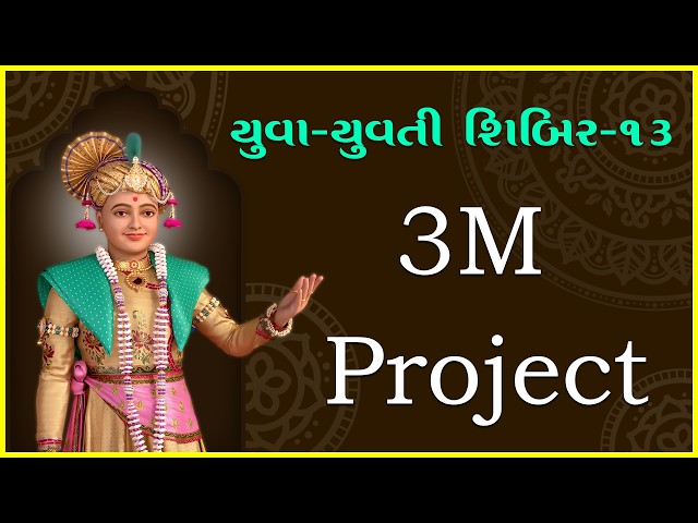 3M Project