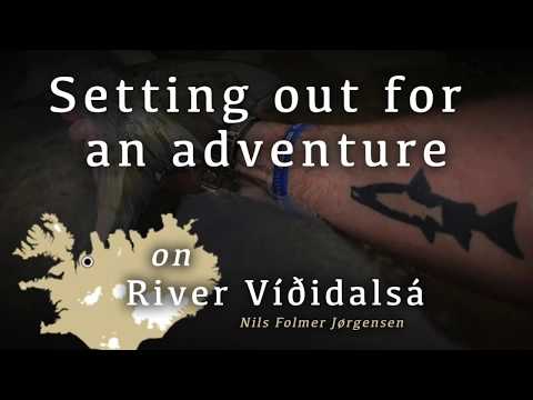 In search of the big ONE on River Víðidalsá
