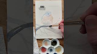 🥰 Let's paint a fluffy bluebird in watercolor! 🐦