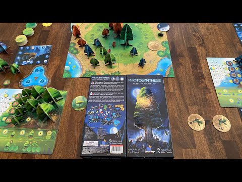 Under the Moonlight Video Review