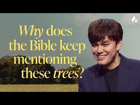 5 Mentions Of Trees In the Bible You Might Not Have Heard Before | Bible Study with Joseph Prince - Healing Grace, Hope & Healing - Joseph Prince