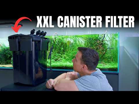 Aquael Hypermax BT Thermo - pierwsze wra?enia