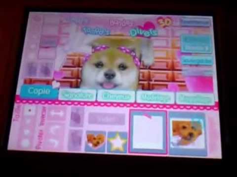 D�co Photo Nintendo DS