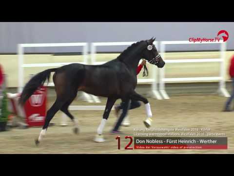 12  Don Nobless - Fürst Heinrich - Werther