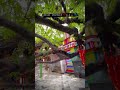 Sadhi Maa ️ Kada Sadhi Sarkar Newreelsvideo Newstatus Viralvideo Subcribe Like Shorts