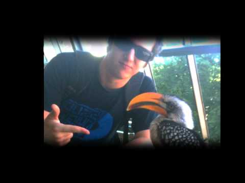 Mitgliedsbeitrag #2 (produziert von Mirac) - Mirac, P.tah, Yo!Zepp, Mosch, Polifame, Karaeil & Con