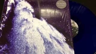 Plastic Flowers - Lucy (2016) (Audio)