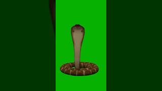 Download lagu #naagin6 ||naagin green screen effects||nagin green screen effect download#Vikarant green screen mp3